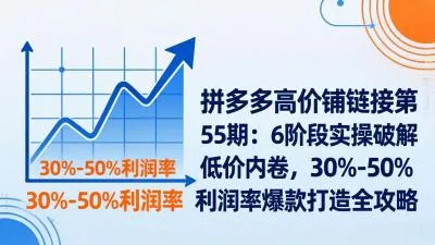 【精】拼多多高价铺链接第55期:6阶段实操破解低价内卷,30%-50%利润率爆款打造全攻略 【精】拼多多高价铺链接第55期:6阶段实操破解低价内卷,30%-50%利润率爆款打造全攻略