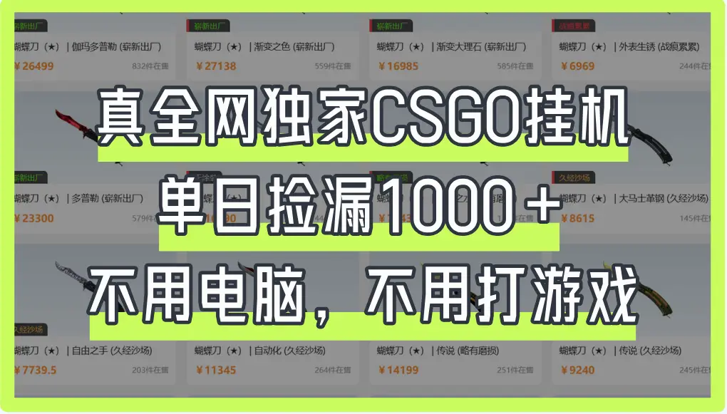 真全网独家CSGO挂机，单日捡漏1000+
